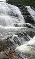 HTC Desire nature wallpaper 480x800