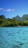 Wallpaper 480x800 beach