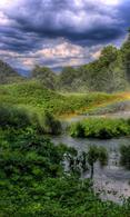 Beautiful nature wallpaper for Desire
