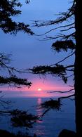Beautiful sunset wallpaper - my favorite